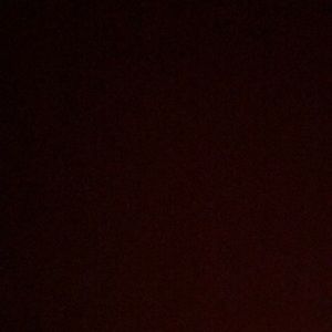 Meet your Posher, Logan